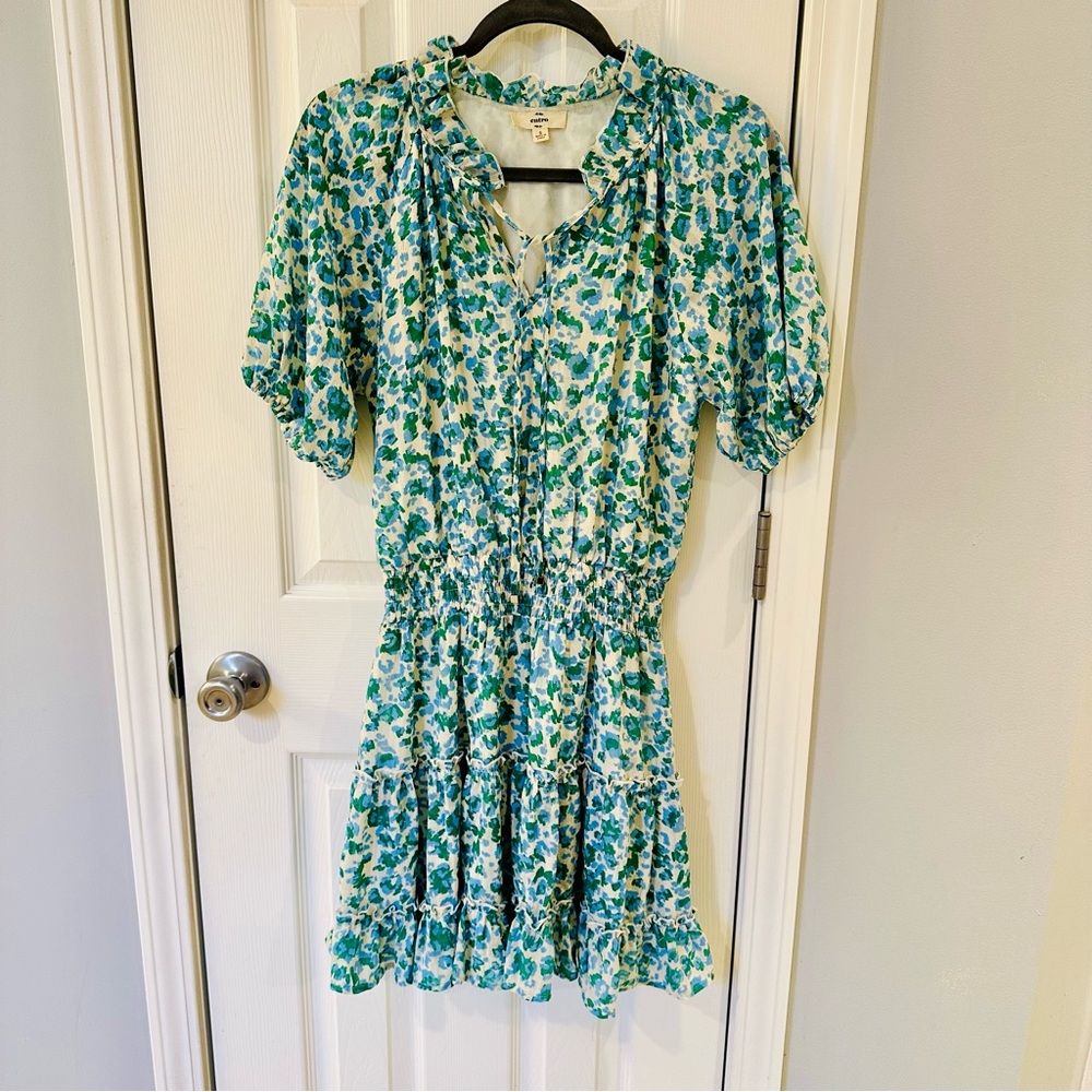Anthropologie Green and White Floral Mini Dress